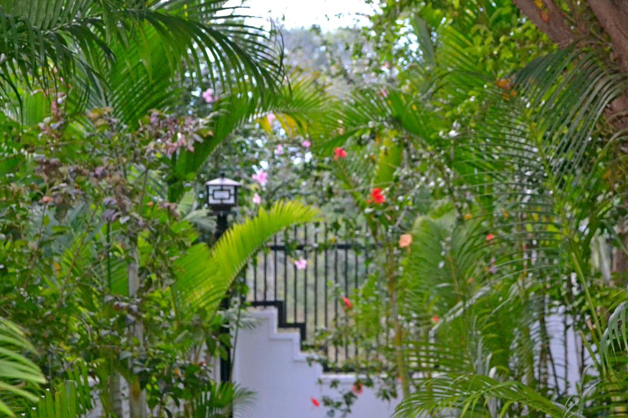 Nature Boutique Residence Siem Reap Bagian luar foto
